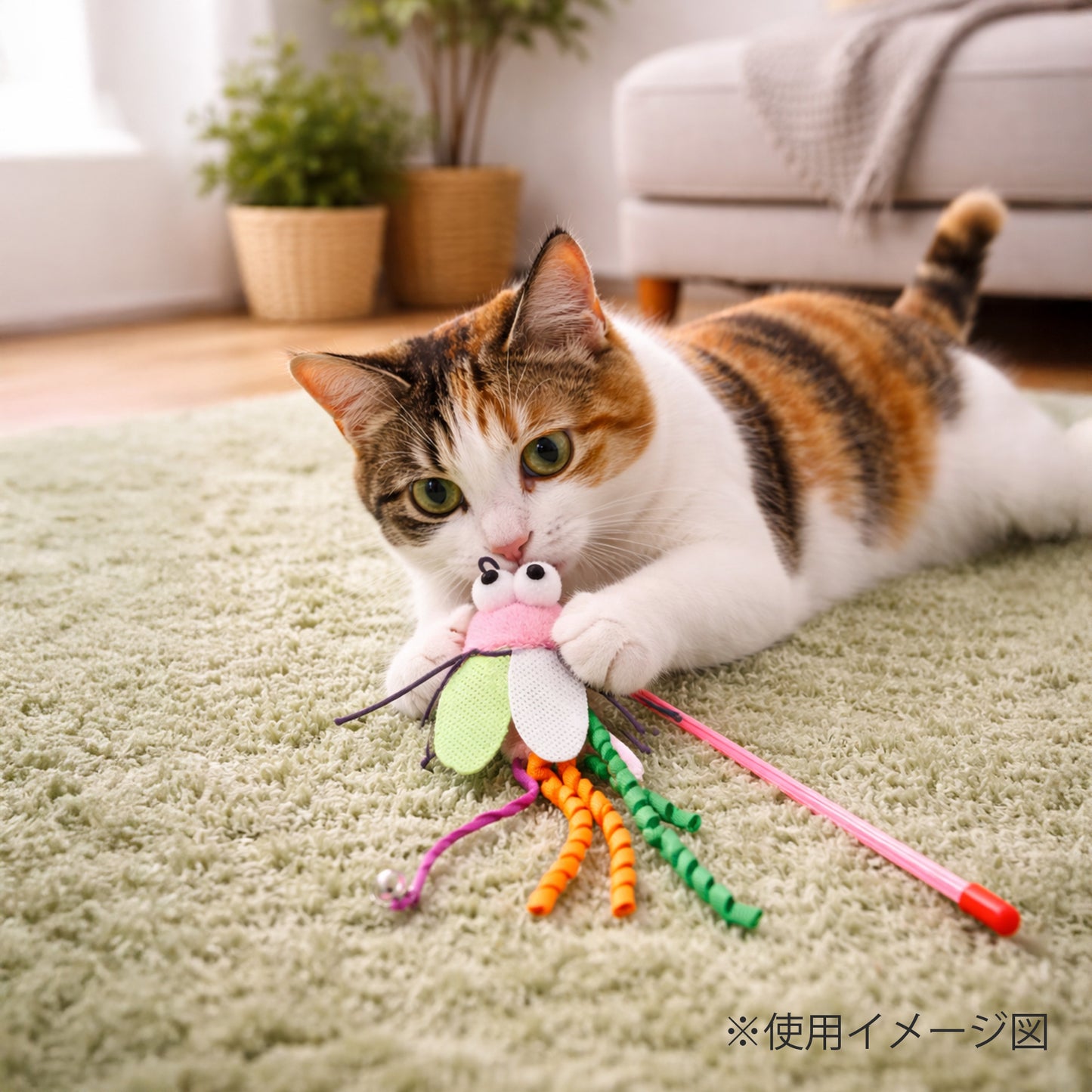 ループ　猫用おもちゃ　ロッディーズ　バギー