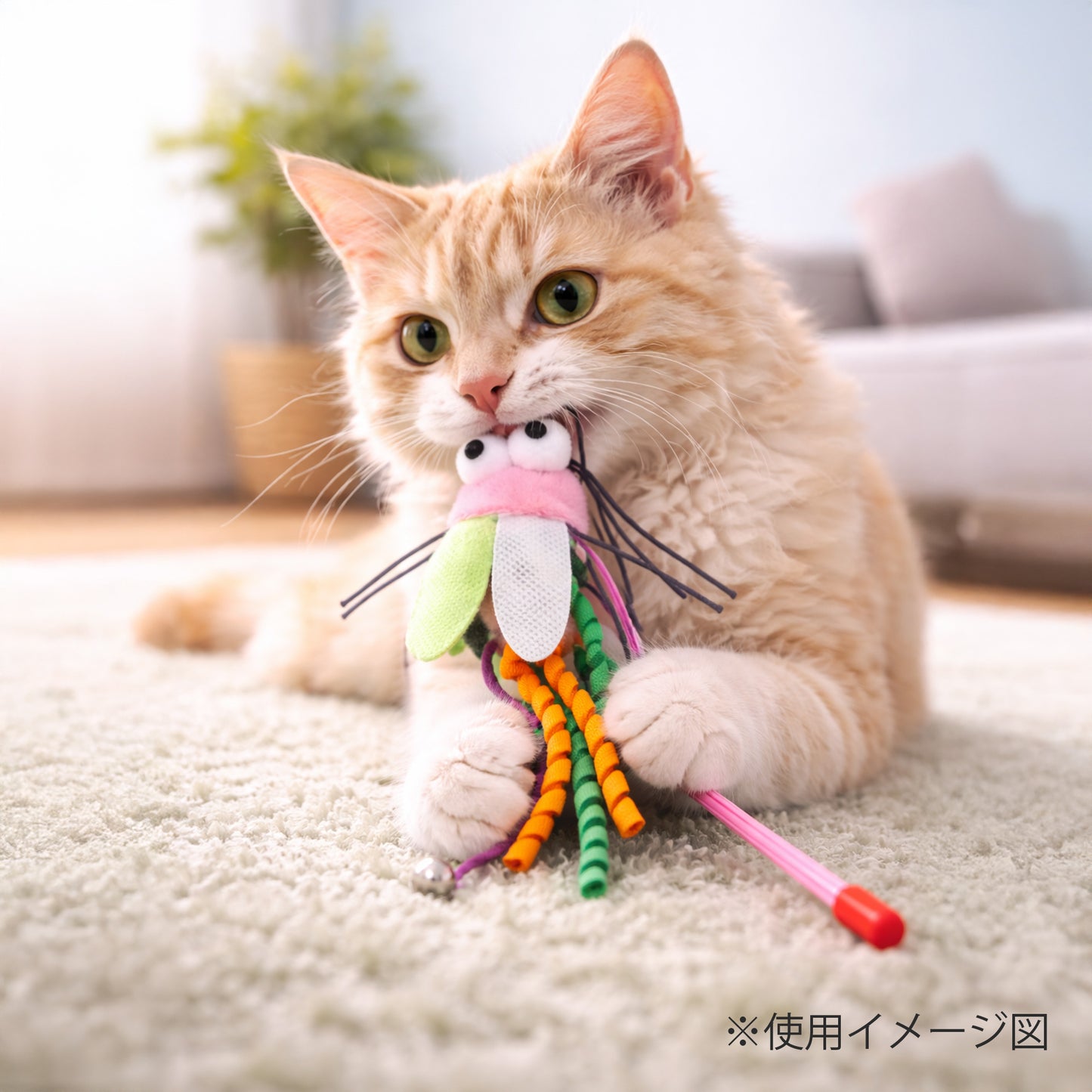 ループ　猫用おもちゃ　ロッディーズ　バギー