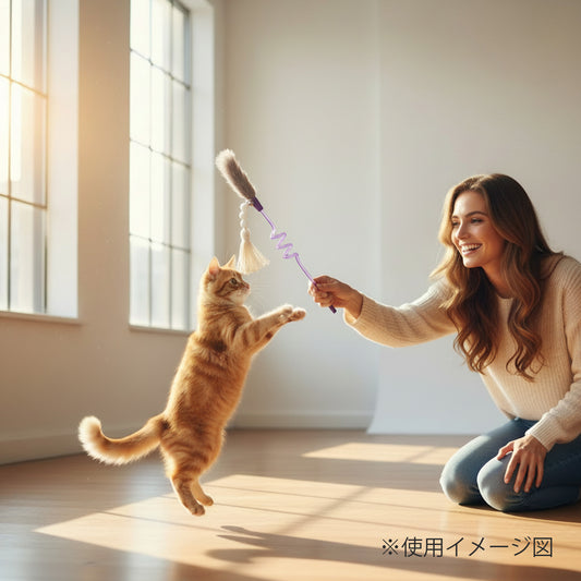 ループ　猫用おもちゃ　ロッディーズ スパイラル