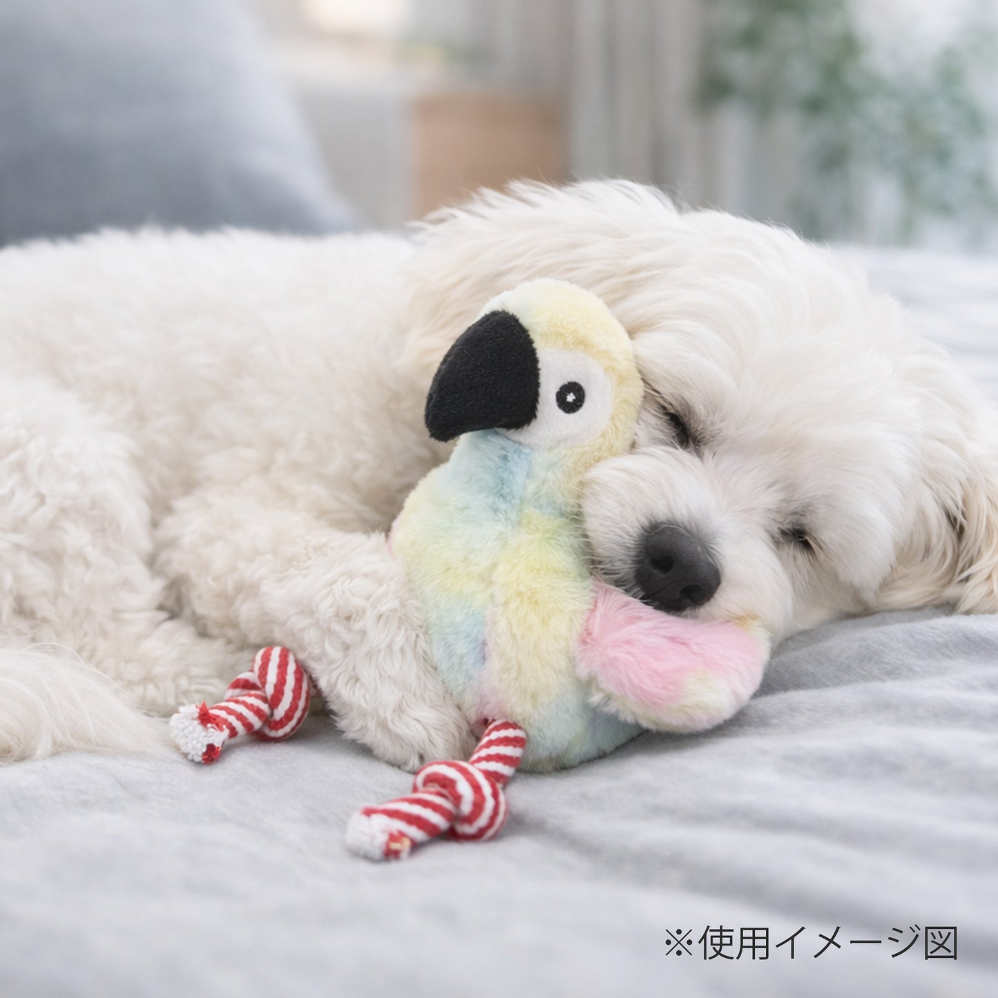 ループ　犬用おもちゃ　フレンディ　パロット