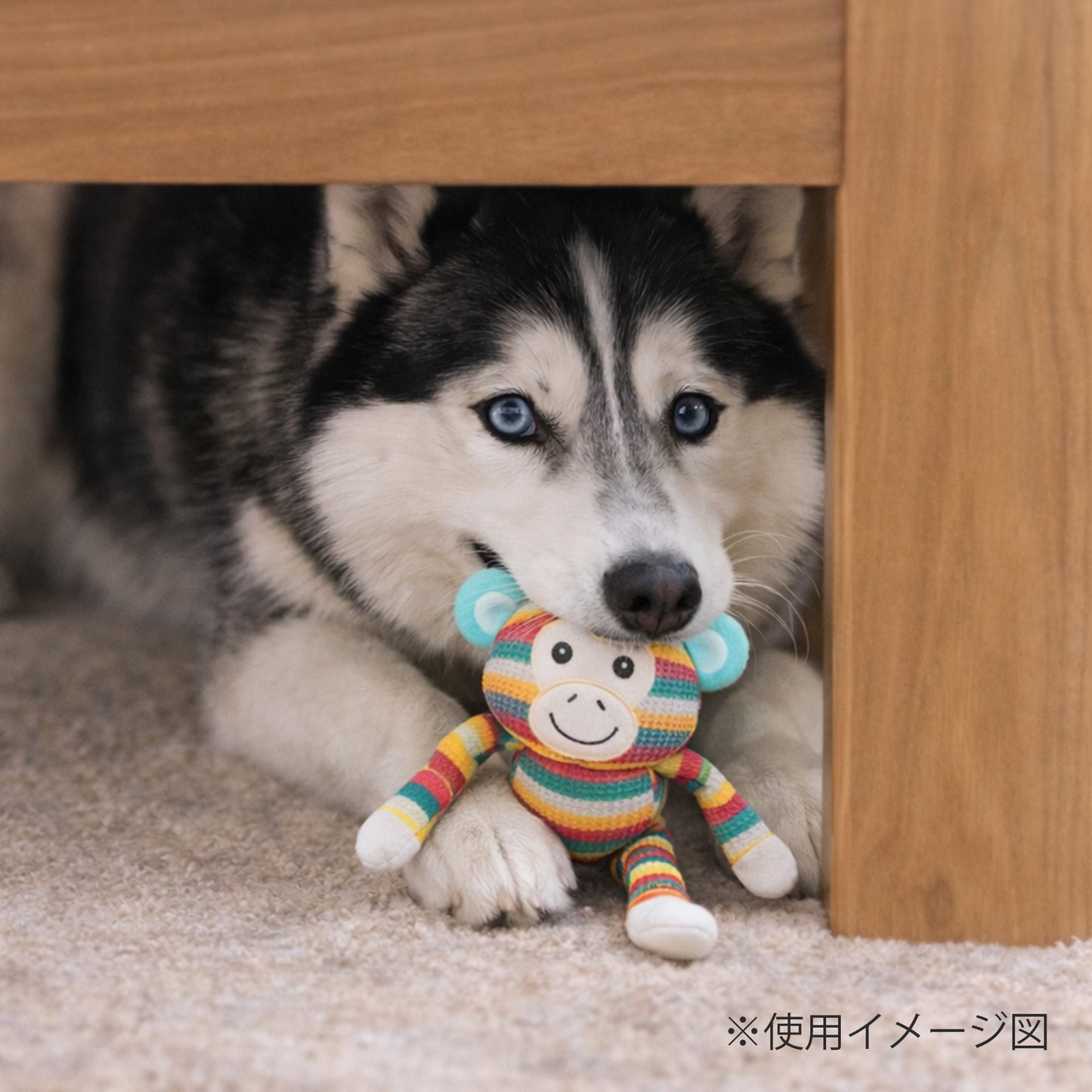 ループ　犬用おもちゃ　フレンディ　ギボン