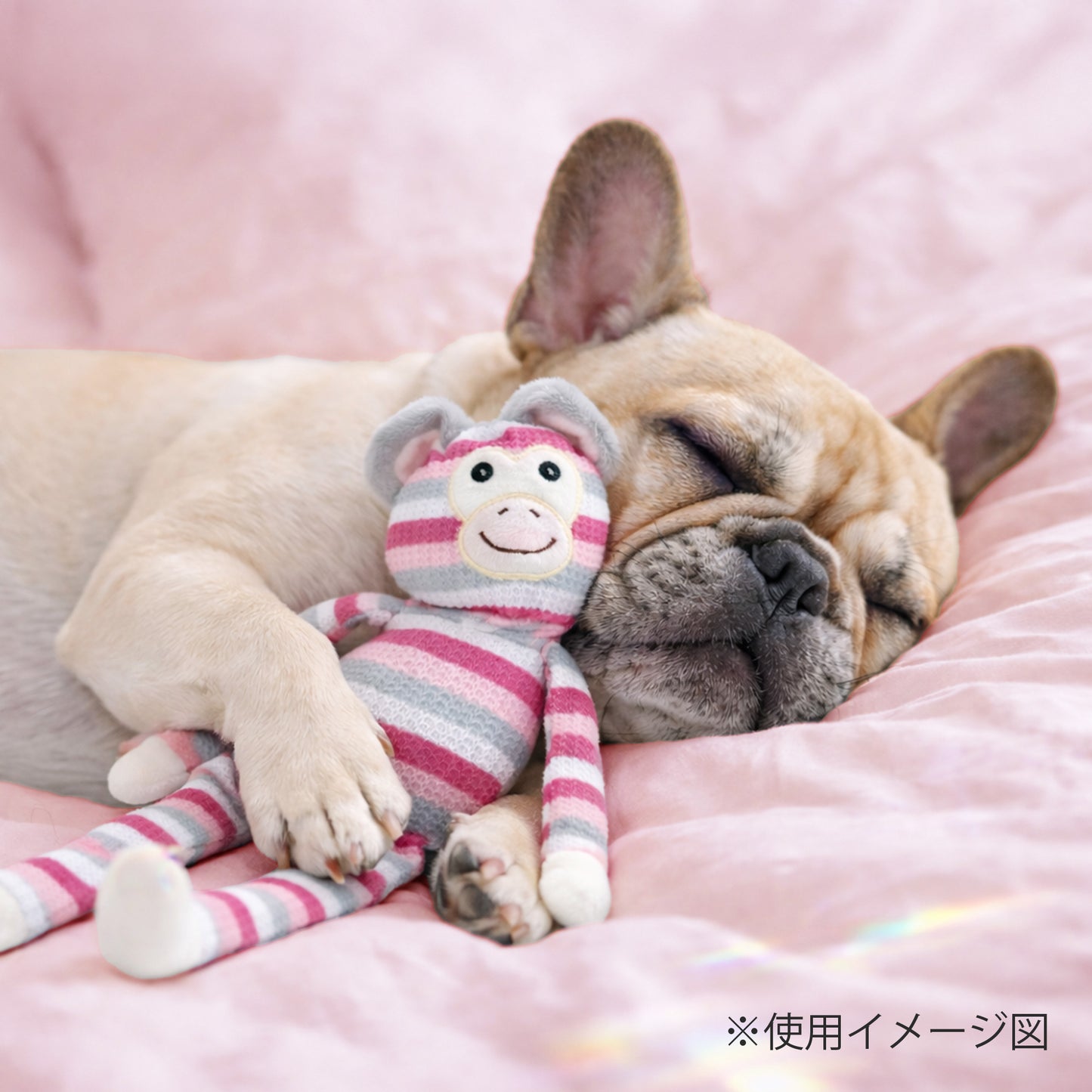 ループ　犬用おもちゃ　フレンディ　ギボン