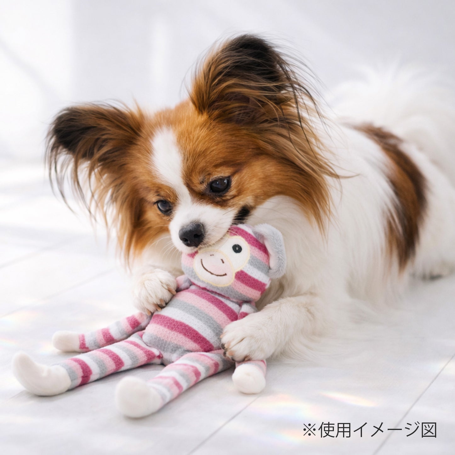 ループ　犬用おもちゃ　フレンディ　ギボン