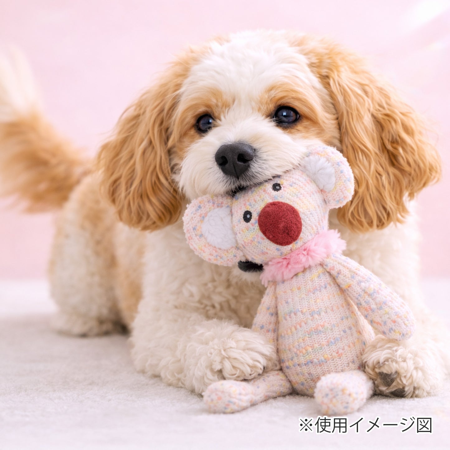 ループ　犬用おもちゃ　フレンディ　コアラ