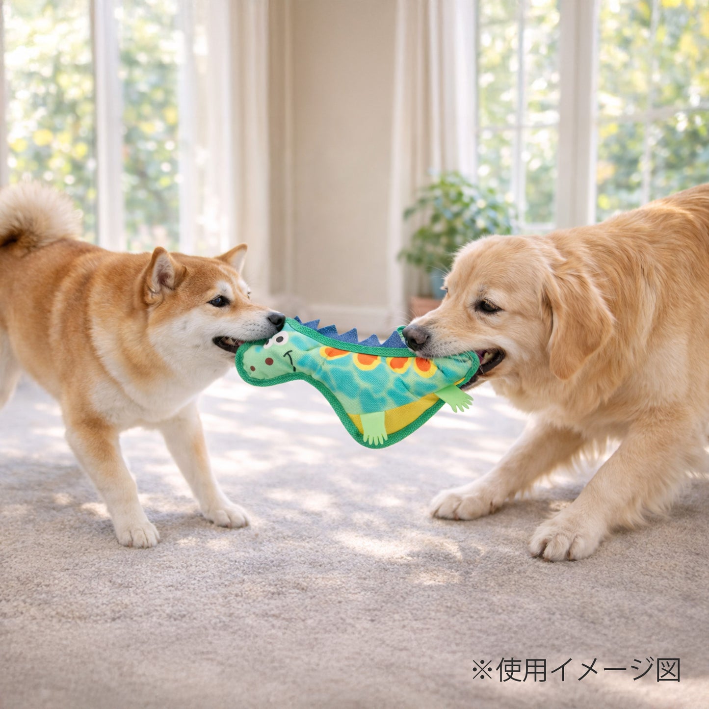 ループ　犬用おもちゃ　フレンディ　ディノ