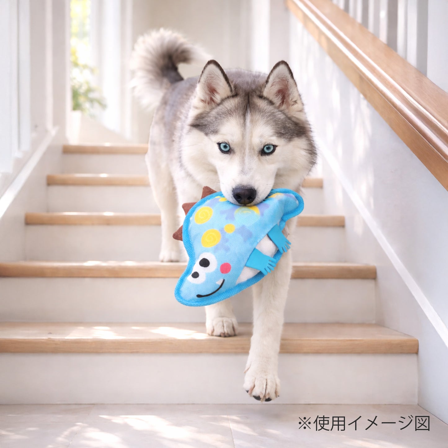 ループ　犬用おもちゃ　フレンディ　ディノ