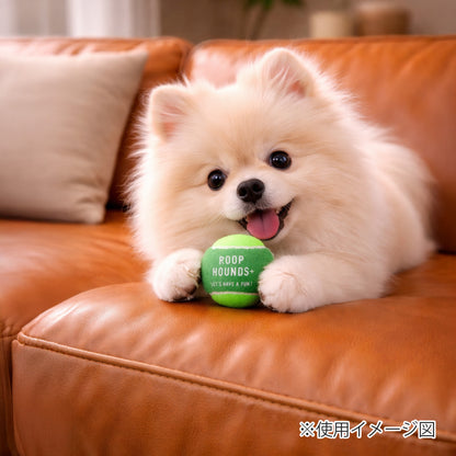 ループ　犬用おもちゃ　ハウンズ＋　テニスボールmini