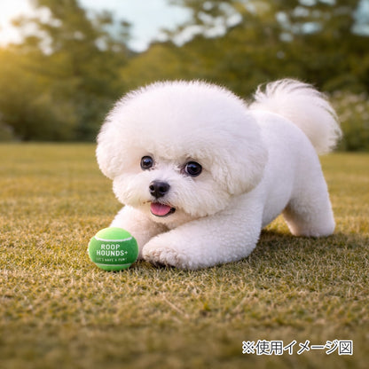ループ　犬用おもちゃ　ハウンズ＋　テニスボールmini
