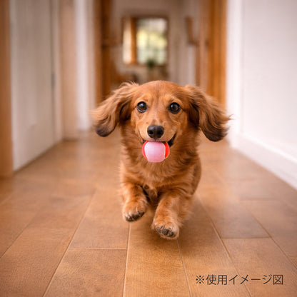 ループ　犬用おもちゃ　ハウンズ＋　テニスボールmini
