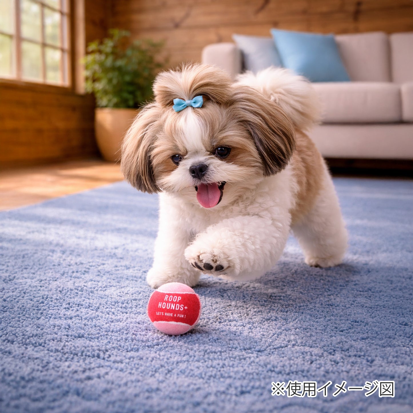 ループ　犬用おもちゃ　ハウンズ＋　テニスボールmini