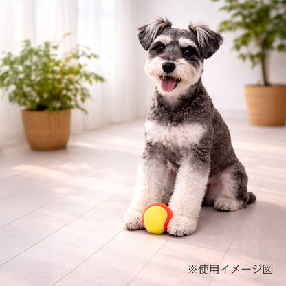ループ　犬用おもちゃ　ハウンズ＋　テニスボール