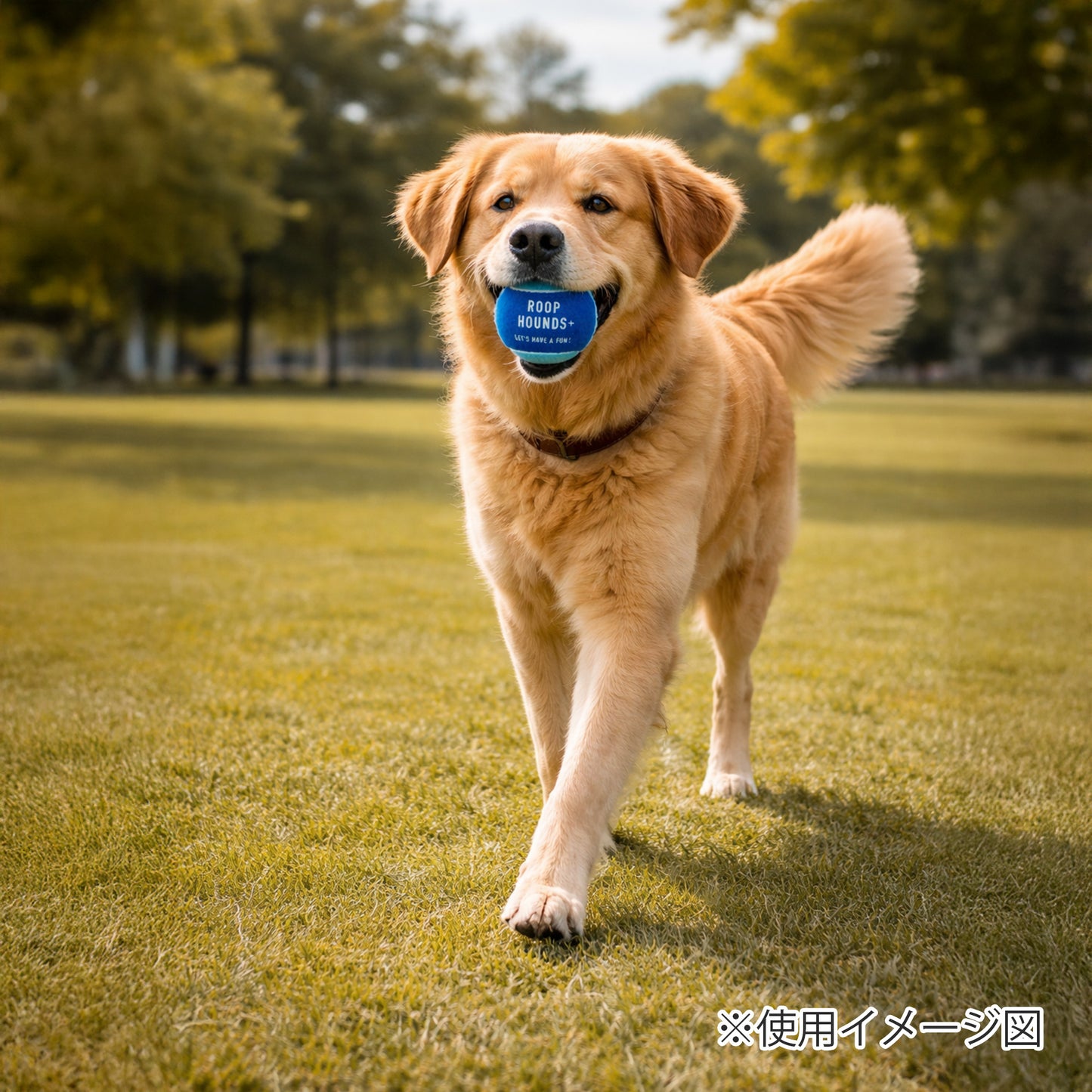 ループ　犬用おもちゃ　ハウンズ＋　テニスボール