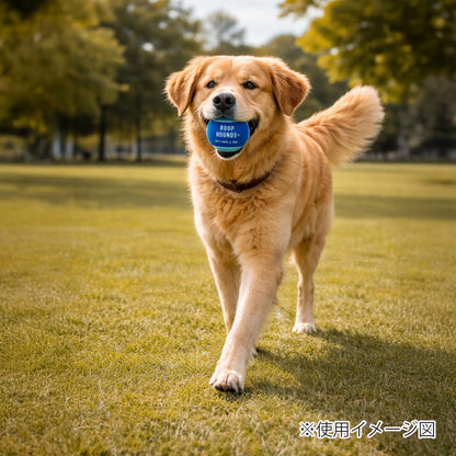ループ　犬用おもちゃ　ハウンズ＋　テニスボール