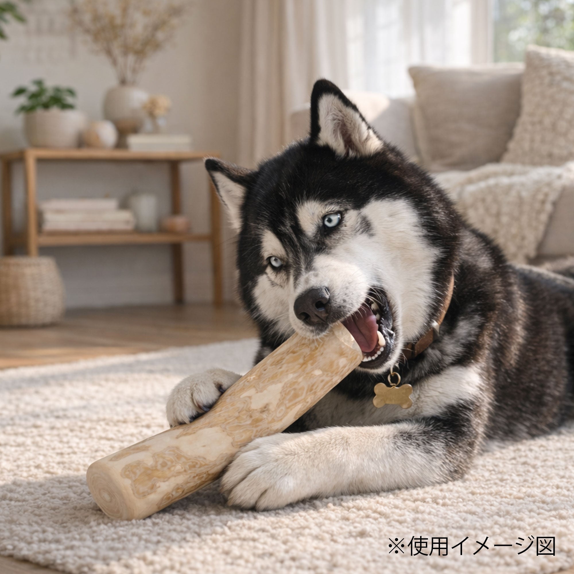 ループ 犬用おもちゃ カフェウッド チャンプ – ルークランオンライン