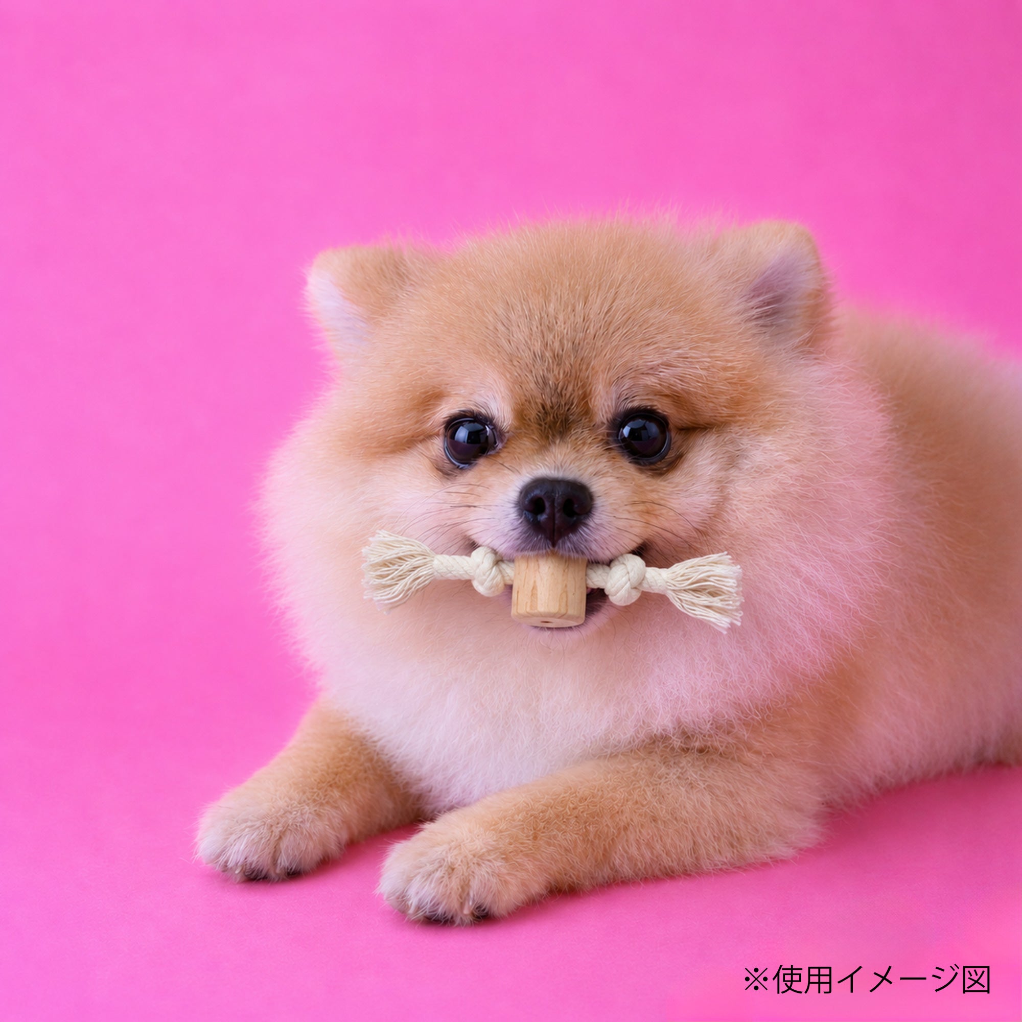 ループ 犬用おもちゃ カフェウッド コットンタグ – ルークランオンライン