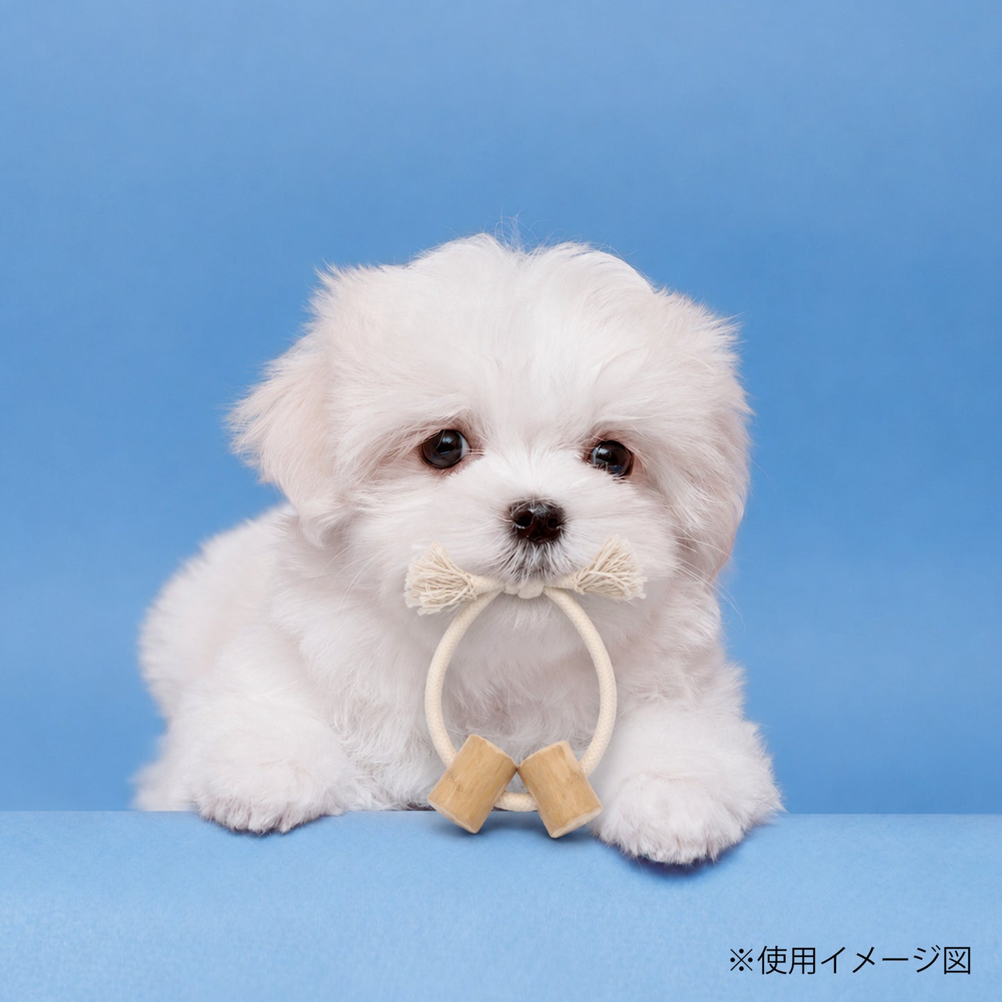 ループ　犬用おもちゃ　カフェウッド　コットンリング　S