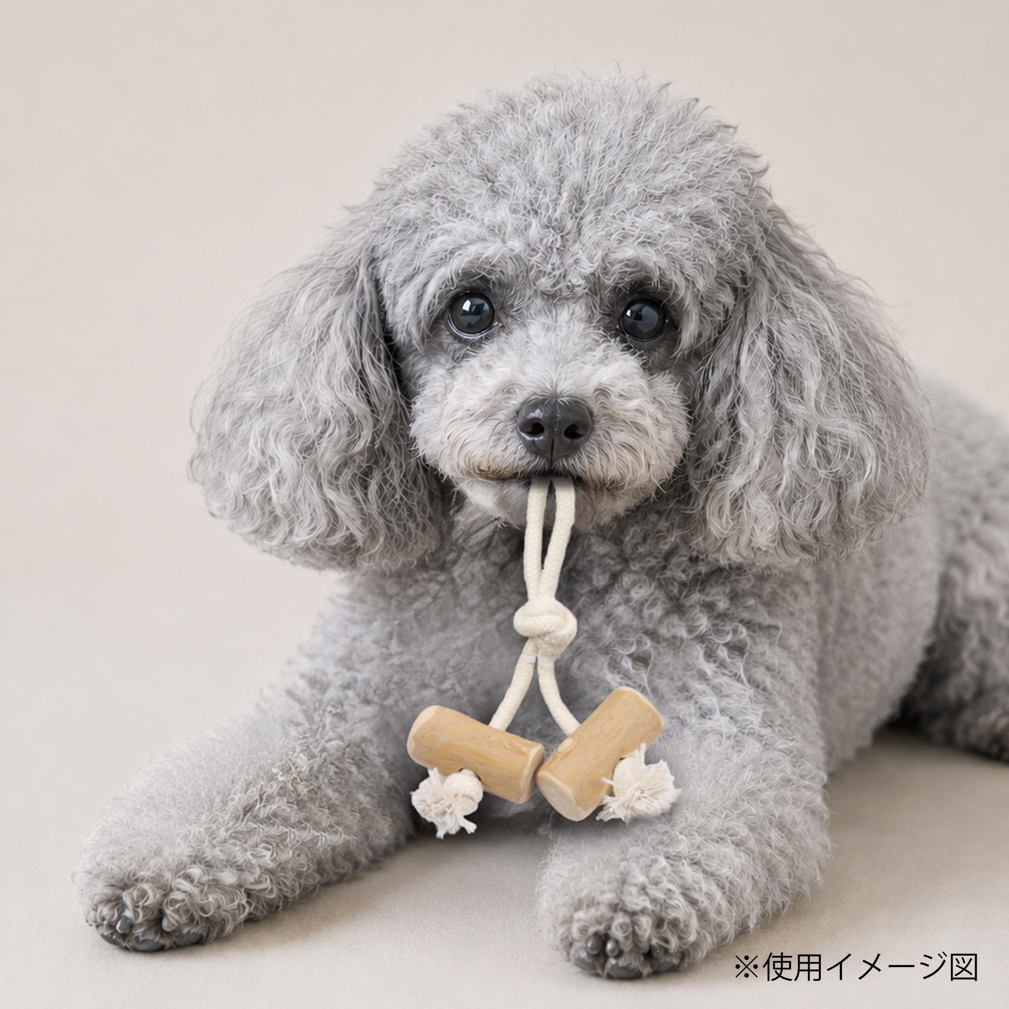 ループ 犬用おもちゃ カフェウッド コットンダブルタグ S – ルークラン