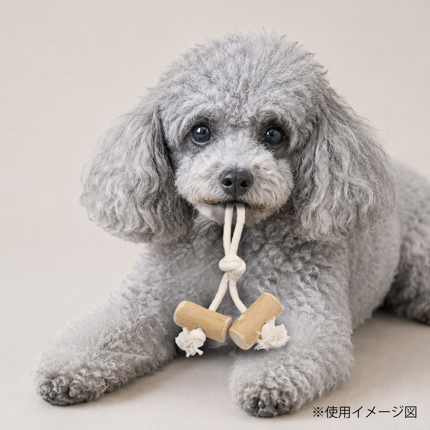 ループ　犬用おもちゃ　カフェウッド　コットンダブルタグ　S