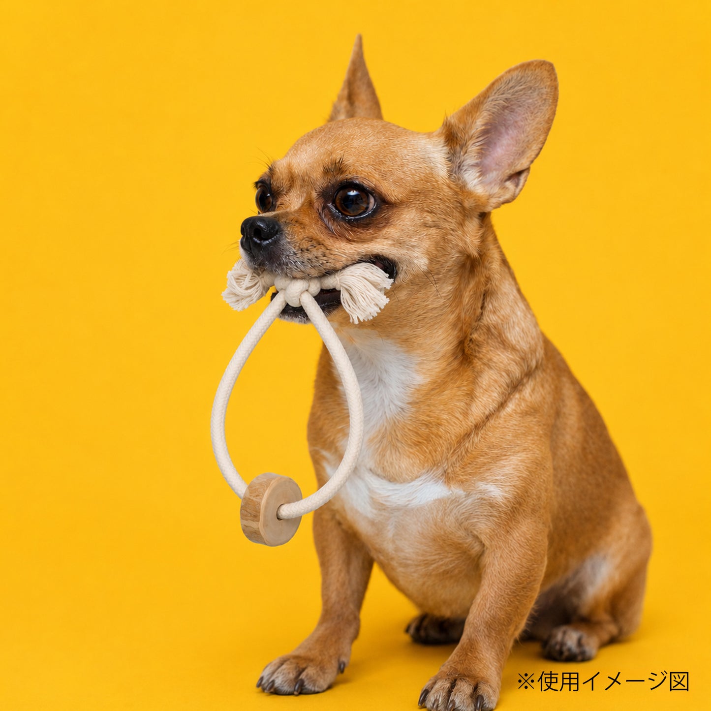 ループ　犬用おもちゃ　カフェウッド　コットンスリング　S