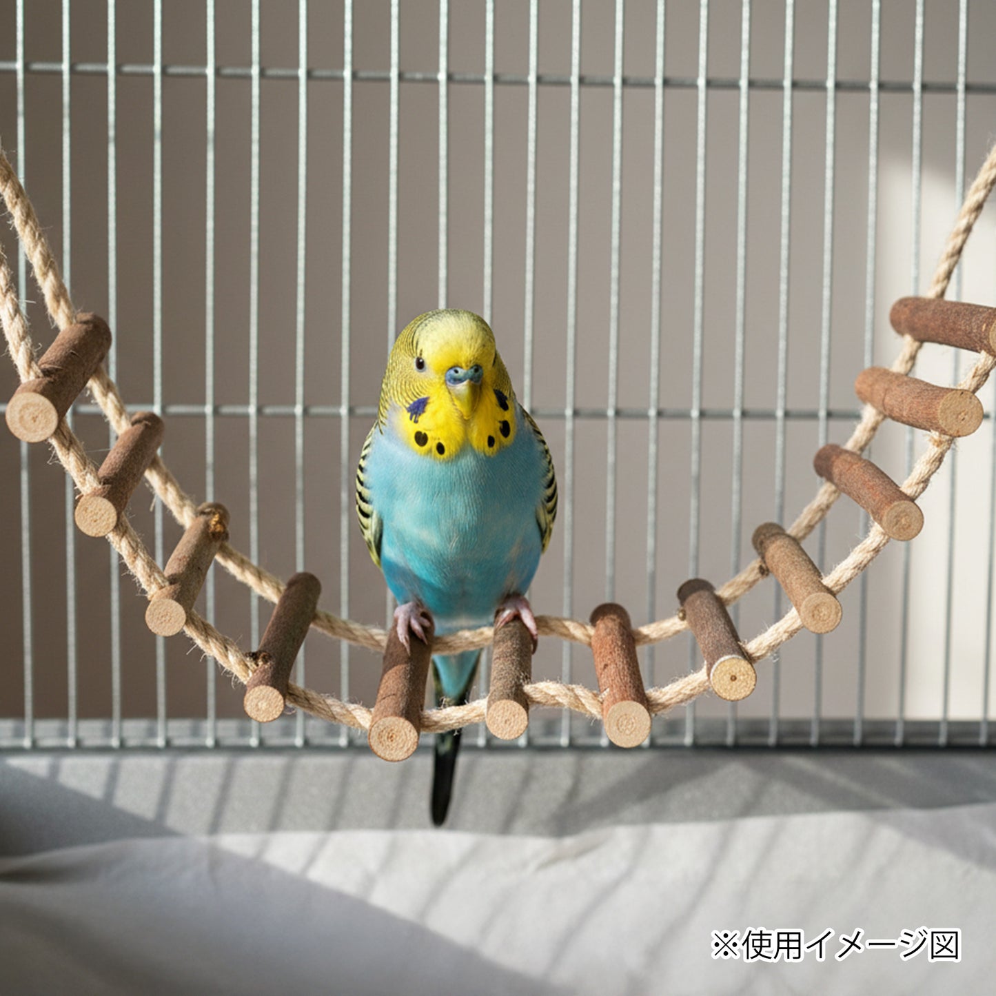 ループ バディ ログブリッジ