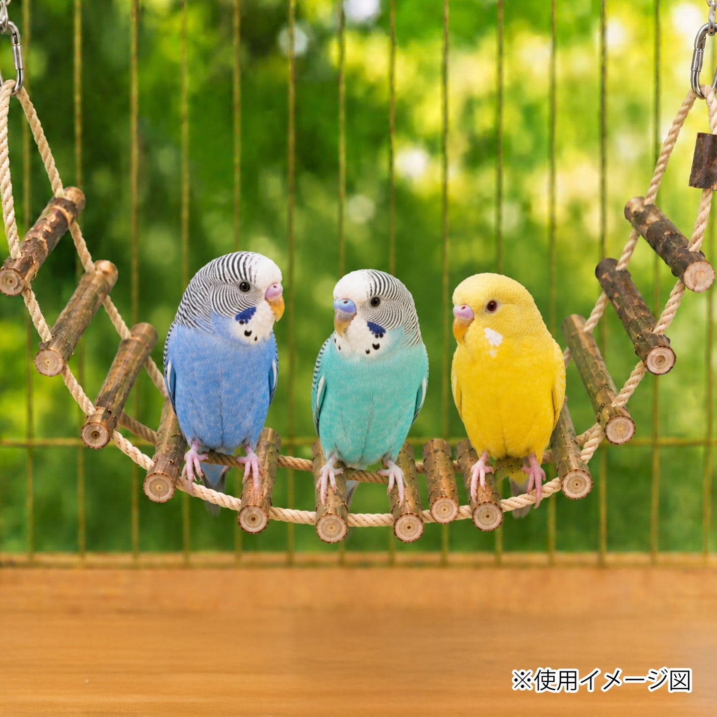 ループ バディ ログブリッジ