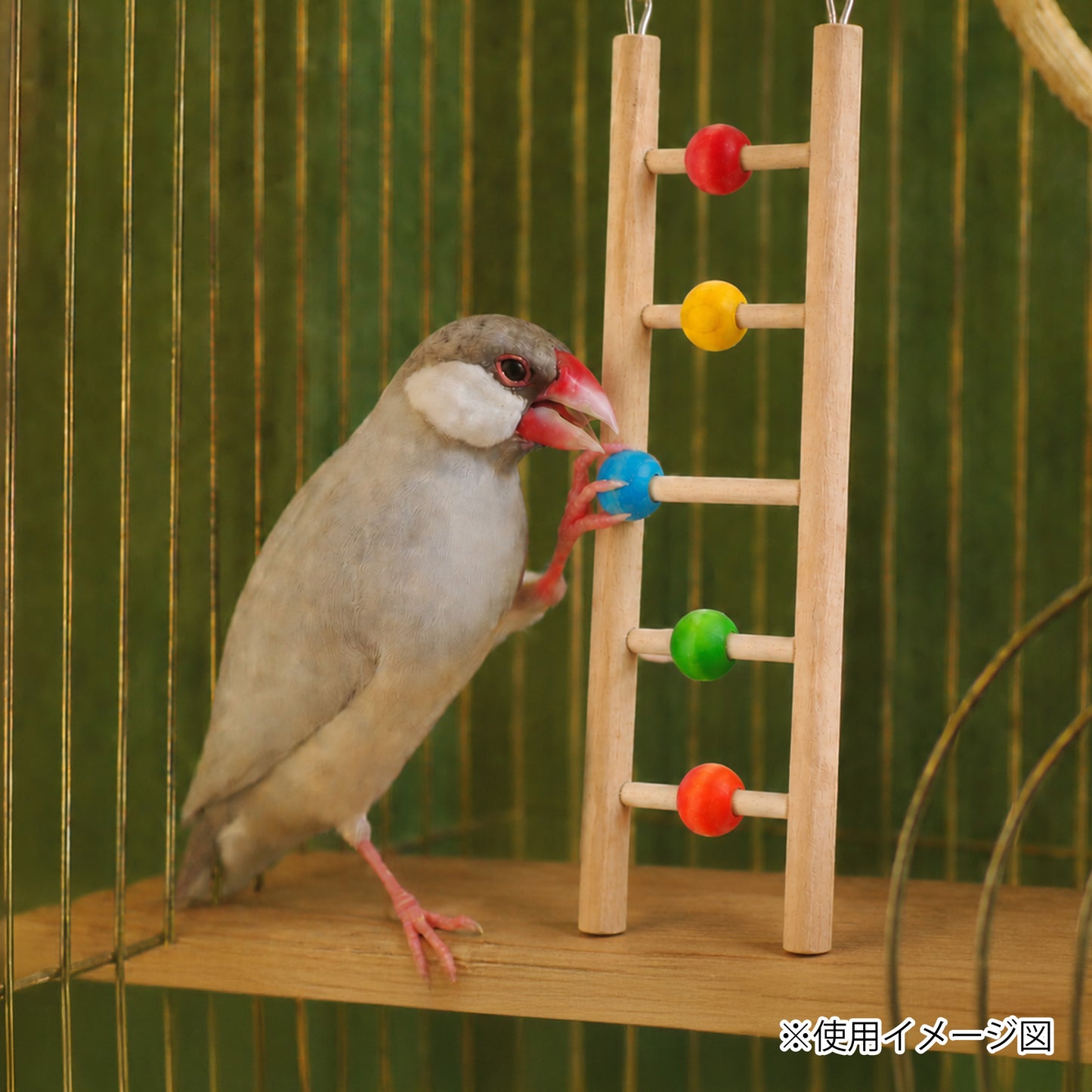 ループ バディ ビーズラダー5