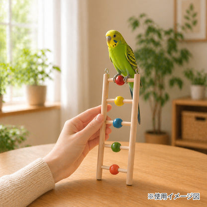 ループ バディ ビーズラダー5
