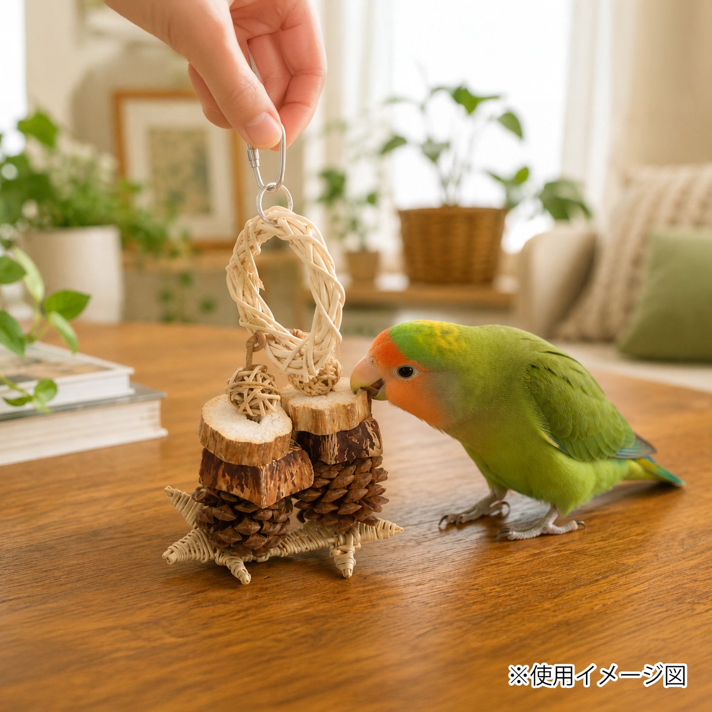 ループ バディ フォレストリング
