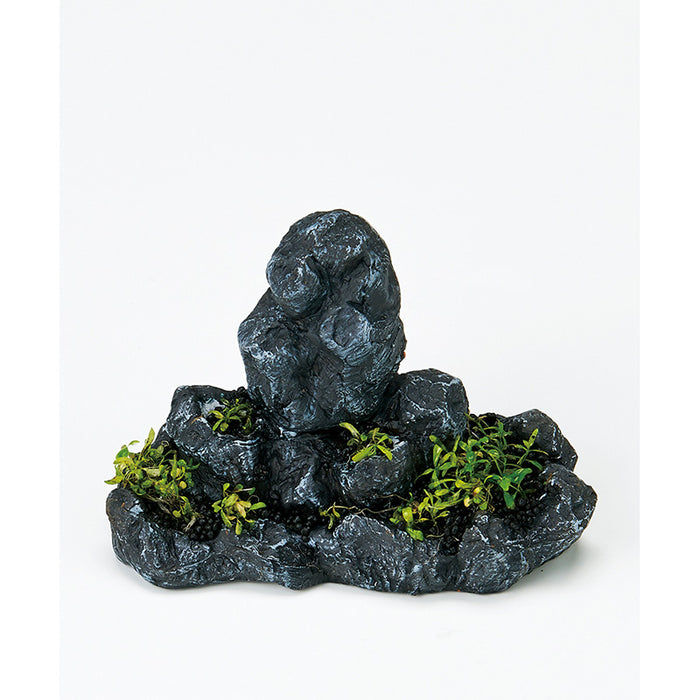 緑景・育てる水草の岩 M