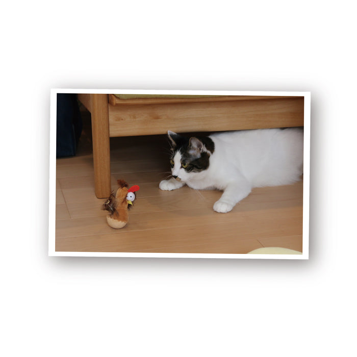 ループ　猫用おもちゃ　ファニーズ　ゆらゆらチキン