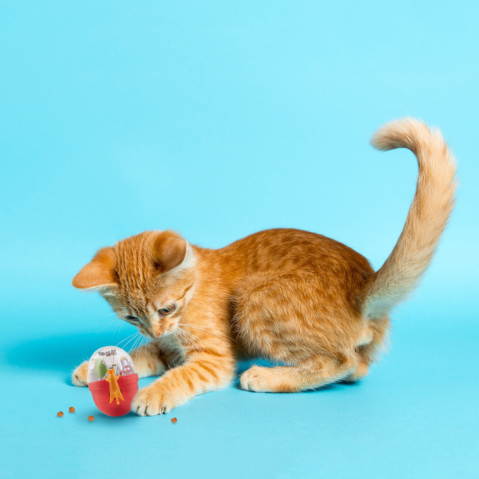 エルシック 猫用おもちゃ キャットタンブラー – ルークランオンライン