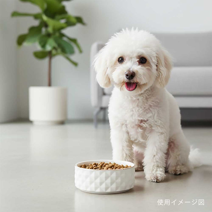 ユーゴー　セラミックボウルS（400ml）