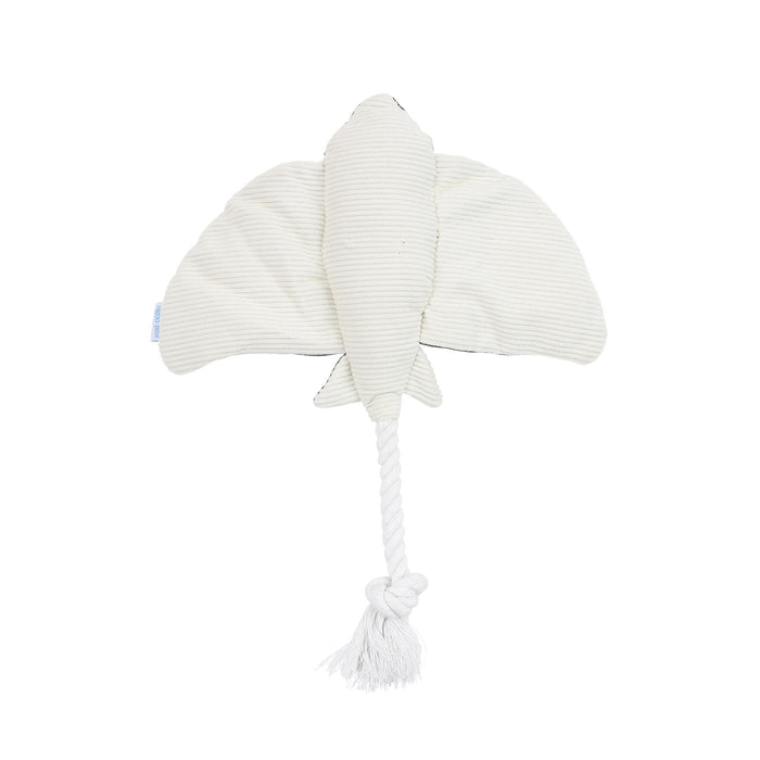 ユーゴー　キャンバスレイ