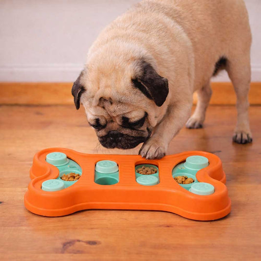 ユーゴー　パズルプレイ（ビギナー）