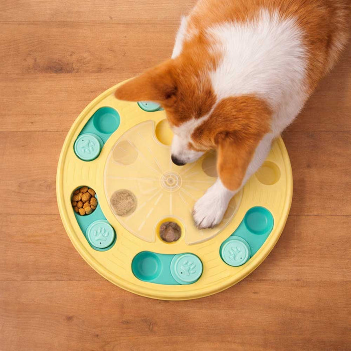 ユーゴー　パズルプレイ（シニア）