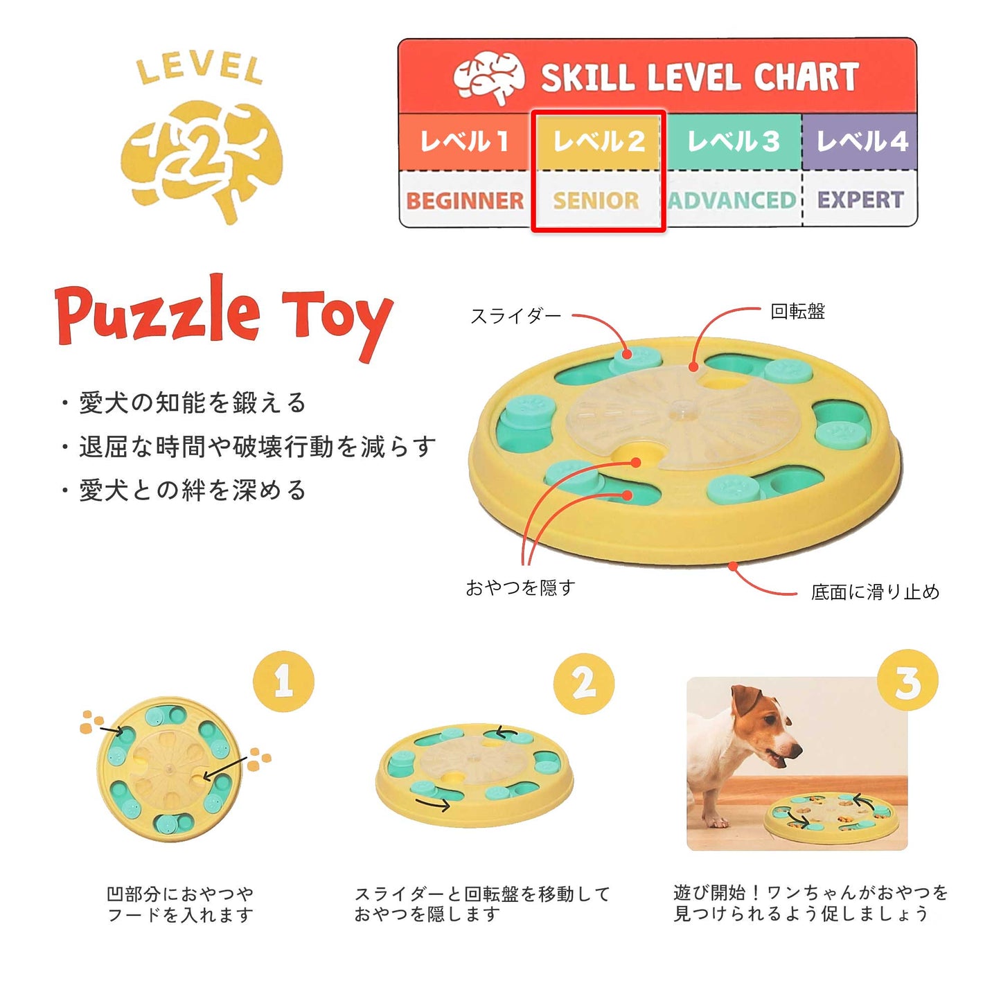 ユーゴー　パズルプレイ（シニア）