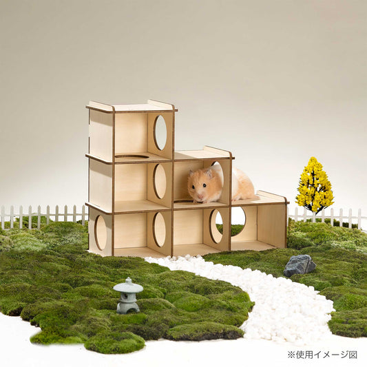 ミオファン　DIYハウス　シックスルーム