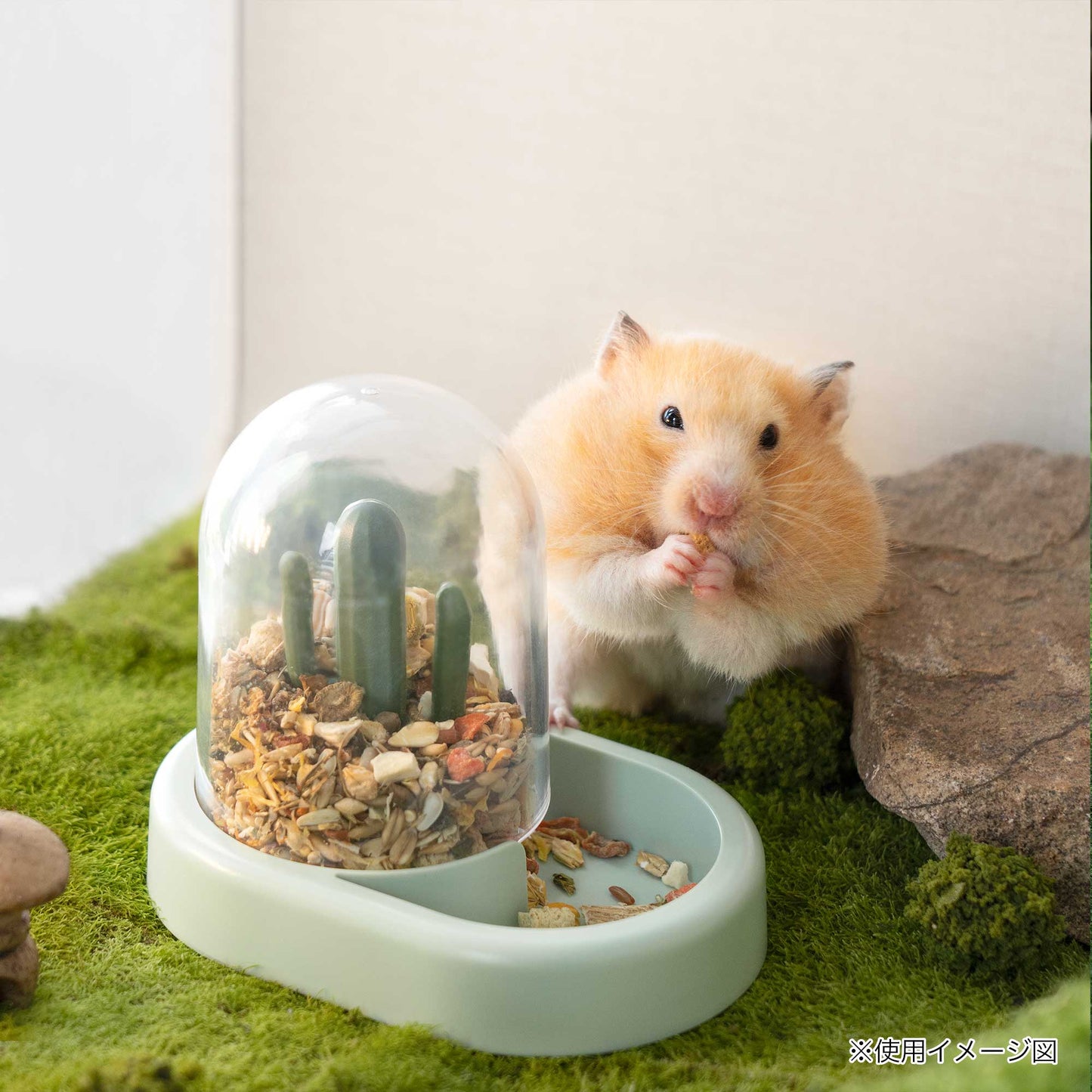 ミオファン　カクタスフィーダー　グリーン