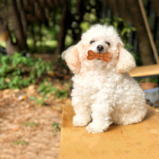 ループ　犬用おもちゃ　プーピーズ　バスケボーン