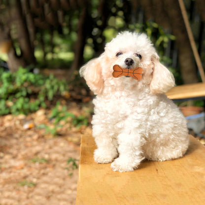 ループ　犬用おもちゃ　プーピーズ　サッカーボーン