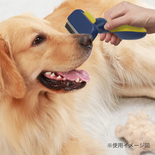 ループビューティー　フリーア　M