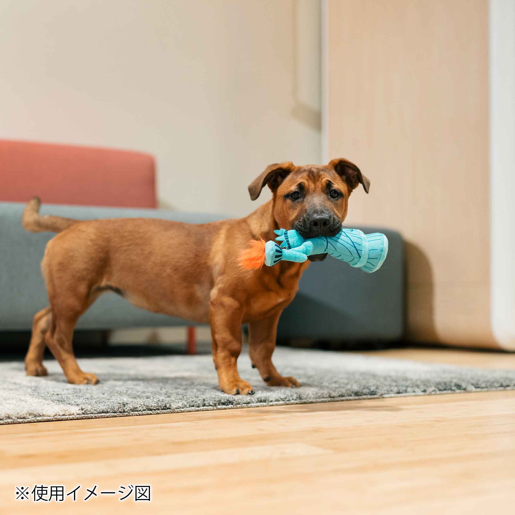プレイ 犬用おもちゃ トータリーツーリスティー – ルークランオンライン