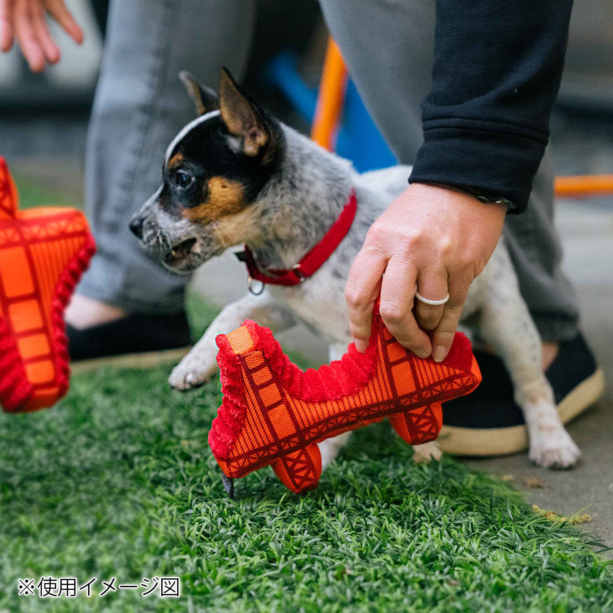 プレイ 犬用おもちゃ トータリーツーリスティー – ルークランオンライン