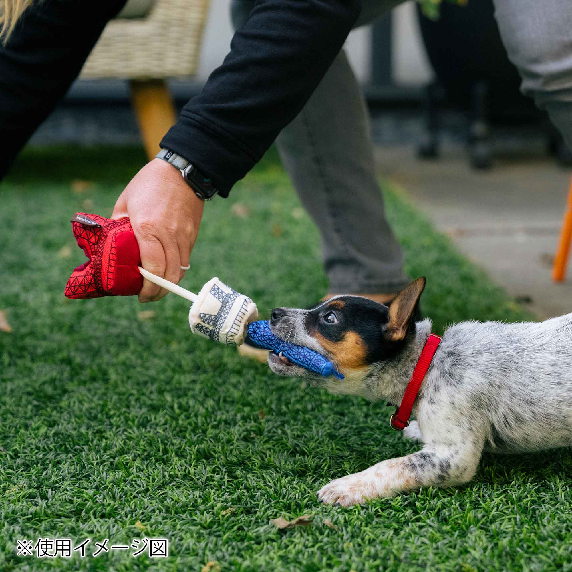プレイ 犬用おもちゃ トータリーツーリスティー – ルークランオンライン