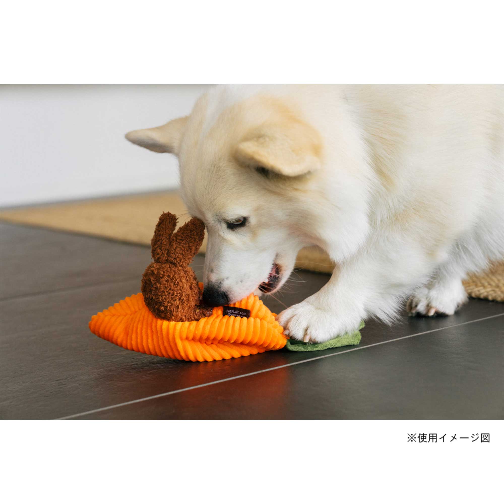 プレイ 犬用おもちゃ ヒッピティホッピティ – ルークランオンライン