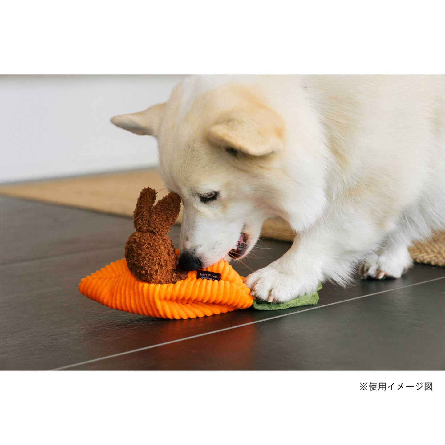 プレイ　犬用おもちゃ　ヒッピティホッピティ