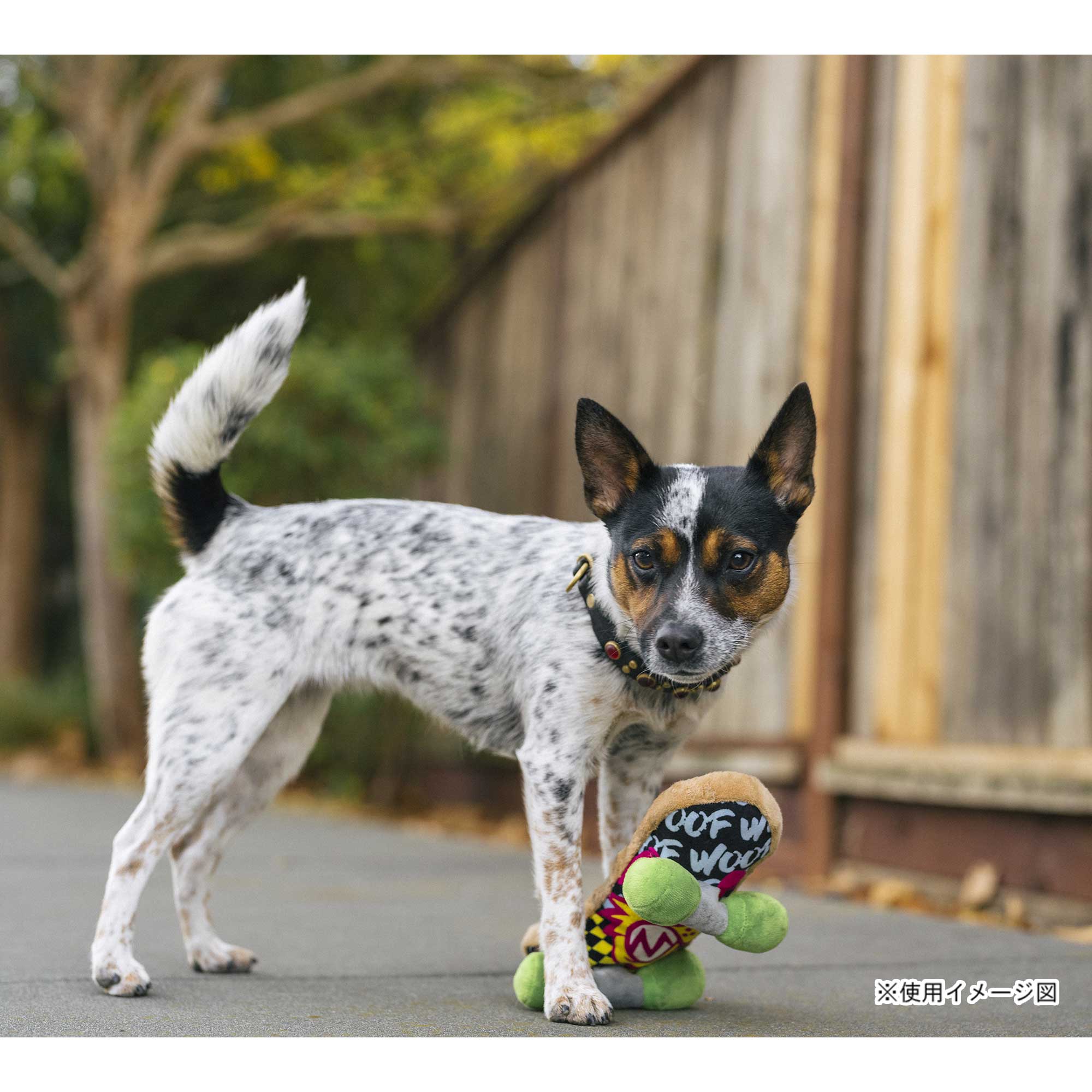 ハ*ナ様 子犬ランプ 犬 岡田あーみん 希少品 ビンテージ　マックスレイ MAXRAY マックスレイ 子犬ランプ 犬 KOINU 岡田あーみん 希少品 - メルカリ
