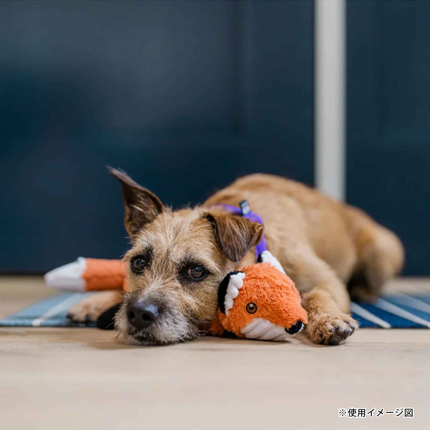 プレイ　犬用おもちゃ　フォレストフレンズ