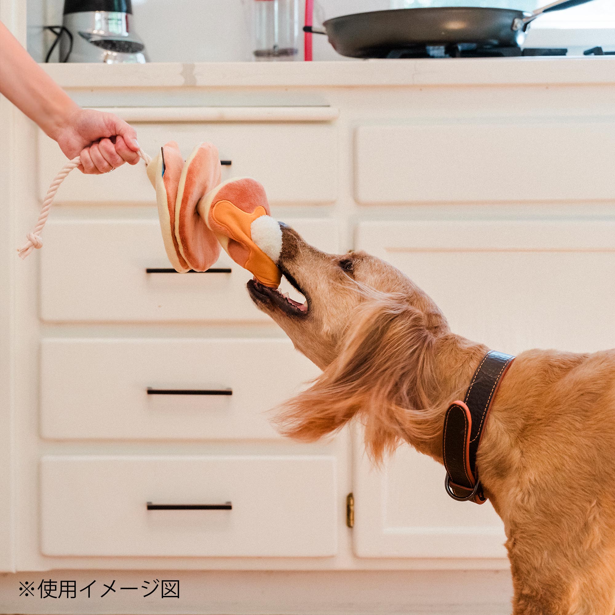 プレイ 犬用おもちゃ アイホップ（IHOP） – ルークランオンライン