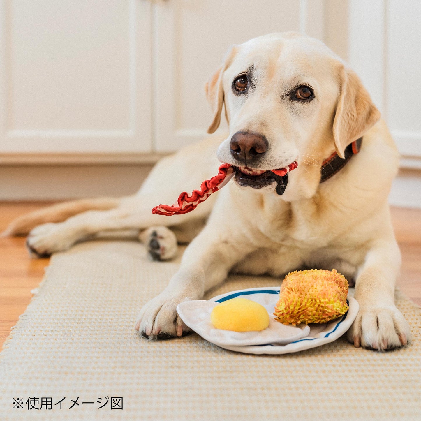 プレイ　犬用おもちゃ　アイホップ（IHOP）